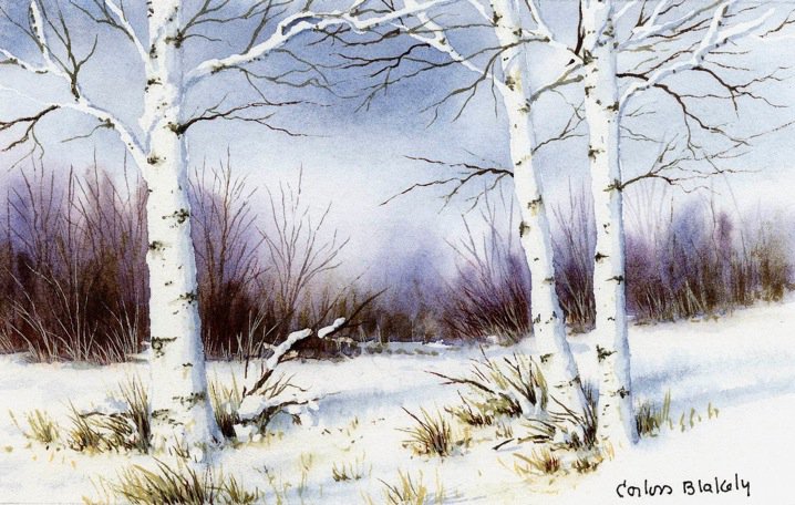 FrameShop's tweet image. VT artist Corliss Blakely just stopped by. She will be painting at the gallery today! Stop by to see her hand-painted Christmas cards, prints, original oils and watercolors.
#artistinvermont #watercolorpaintings #vermontart #christmascards #christmasgifts #shoplocal #artforgifts