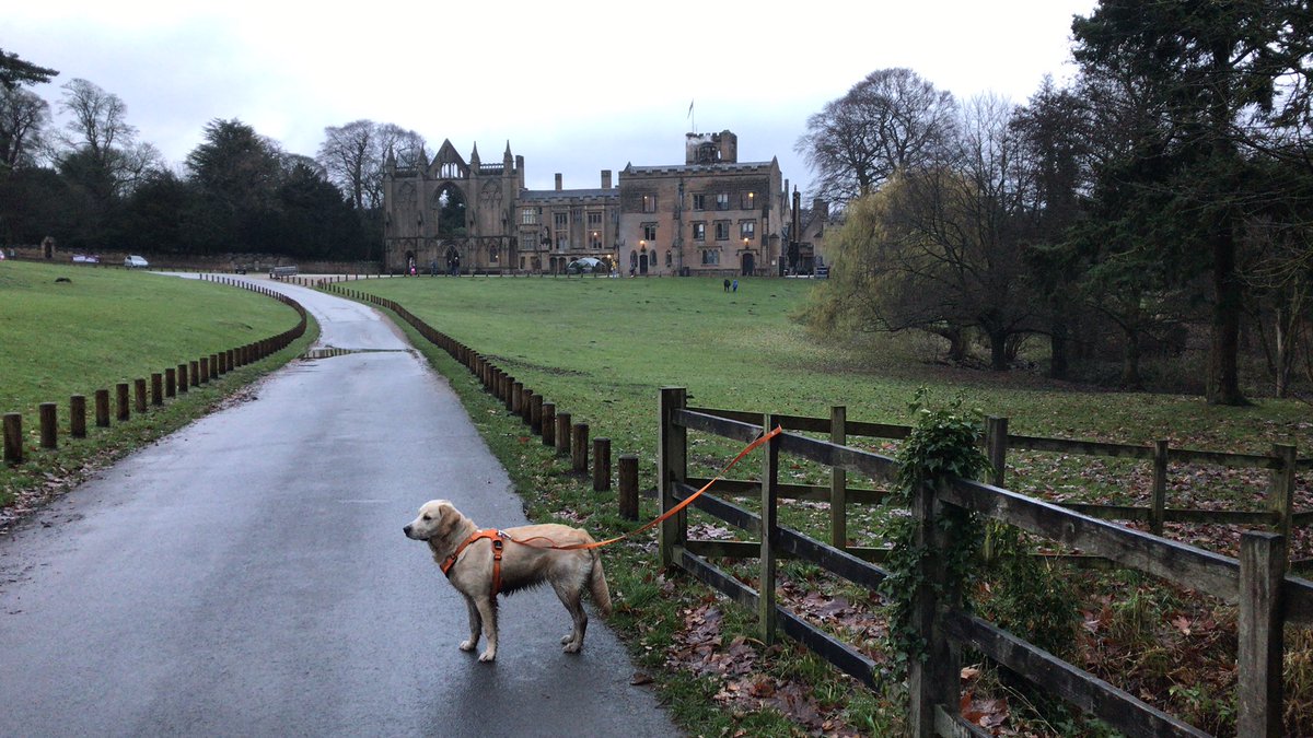 A rather muddy and mucky @Millicentpawcett as we walked to Byron’s home at #NewsteadAbbey this afternoon. She quoted Poetry of course  “I love not man the less, but Nature more.” 
@harry_fosters @stan_sdcollins