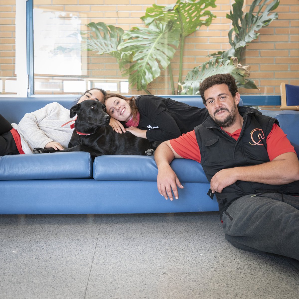 Descanso entre terapias. África como siempre tienes ganas de más.
#terapia #terapia_canina #centauroquiron #perros