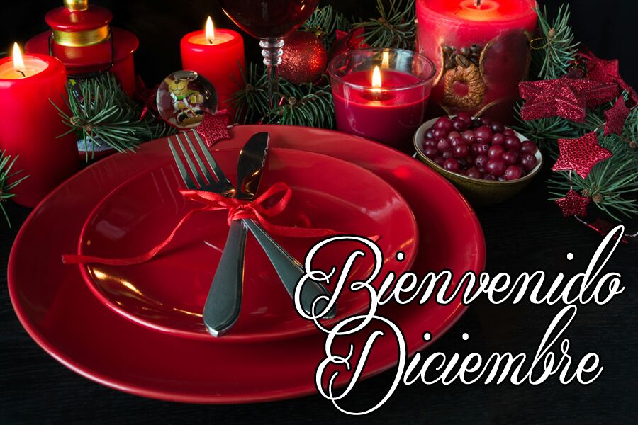 mdelcid28's tweet photo. #bienvenidodiciembre https://t.co/rsGrITGjsu