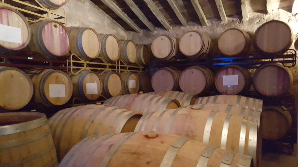 FlyandGrow's tweet photo. El vino rosado tambien puede ser de lujo 🍇 en @MesquidaMora el #Acrollam es uno de sus productos mas vendidos. Cada vez son mas los restauradores que conocen este secreto #VendaDirecta #MillorDePrimeraMà @CMAAPIB @gestionocho @balearestb https://t.co/0UYJojnCmt