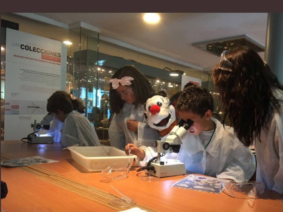 AlidaMoi's tweet photo. ☀Taller "Drakulín en el laboratorio" en el Museo Nacional de Ciencias Naturales el próximo 8 de Diciembre a las 13:00☀
💫⏩Aprende con Drakulín a ser un buen científico, realiza experimentos y, además, conoce a Christoph Härringer, el creador de Drakulín! https://t.co/u53OXIplSw