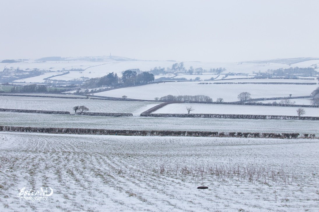 Happy #1stdecember everyone, picture of Dorset fields under snow cover @ThePhotoHour @dorsetAONB @StormHour @dorsetlandscape @lovefordorset #Dorset @Dorsetecho