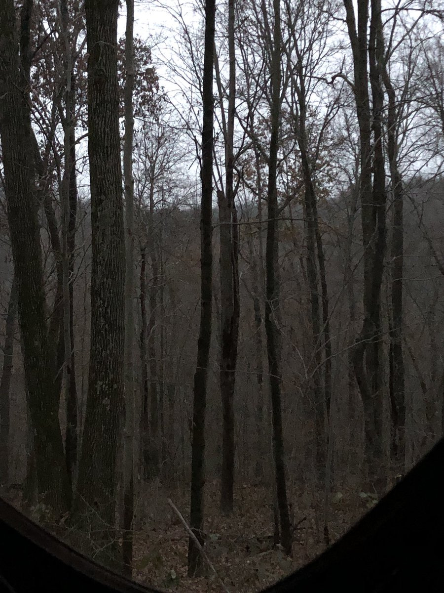 Good morning from the soon to be very wet #Ohio #whitetail woods! #gunseason #deerhunting