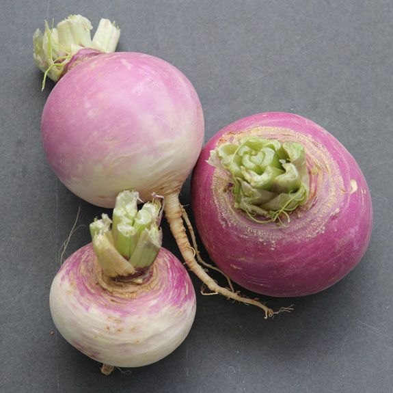 Great Parks (@greatparks) on Twitter photo Mmm...winter produce is here! The <a href="/LocalFoodConn/">Local Food Connection</a> sends vegetables, dairy, meat and more from local farms right to our doorstep at Parky's Farm each week! You can order farm-fresh food for your holiday meals at buff.ly/2BZtzOj.
📸: Elkhorn Oaks Farm & Elmwood Stock Farm Mmm...winter produce is here! The <a href="/LocalFoodConn/">Local Food Connection</a> sends vegetables, dairy, meat and more from local farms right to our doorstep at Parky's Farm each week! You can order farm-fresh food for your holiday meals at buff.ly/2BZtzOj.
📸: Elkhorn Oaks Farm & Elmwood Stock Farm
