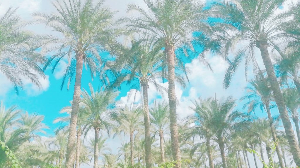 Mido__mosa's tweet photo. #this_is_egypt سقارة من اجمل المدن التاريخية في مصر🇪🇬🔱🀄️ https://t.co/0pcCSAEbgb