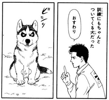 タイプ あ る 私の動物のお医者さんシンドローム 動物のお医者さん といえば やはりハムテルくんとチョビのやり取りが好きだな