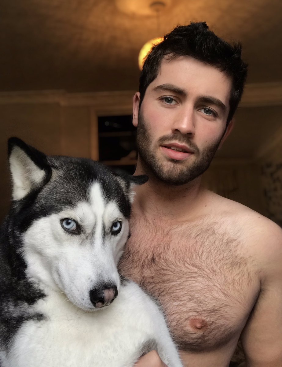 adam mcquade on Twitter "Huskies love to pose…