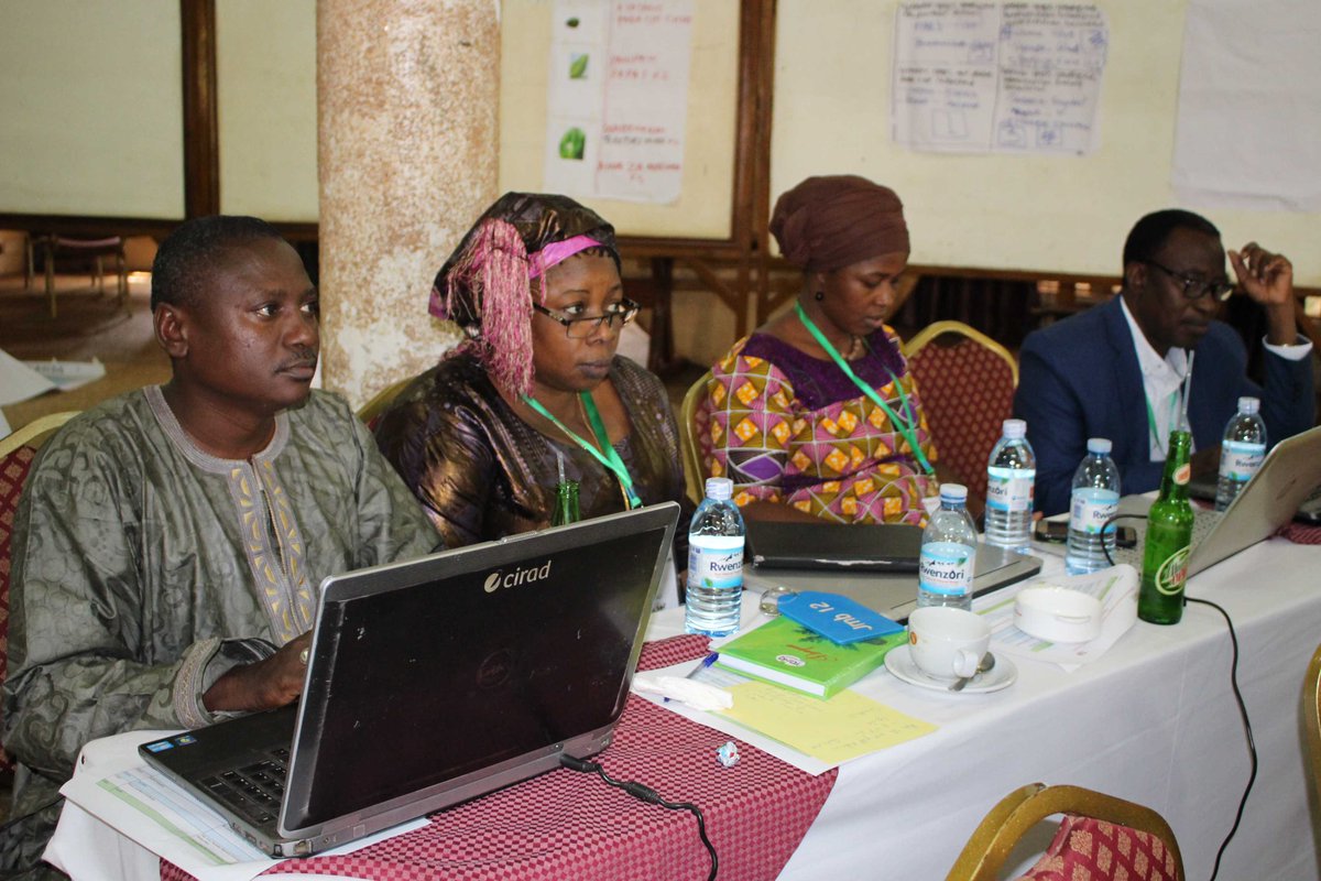 MakCAES's tweet image. PICTORIAL: Live pictures from the #GREATTLIIICourse @MakCAES presentations on gender responsive #research.