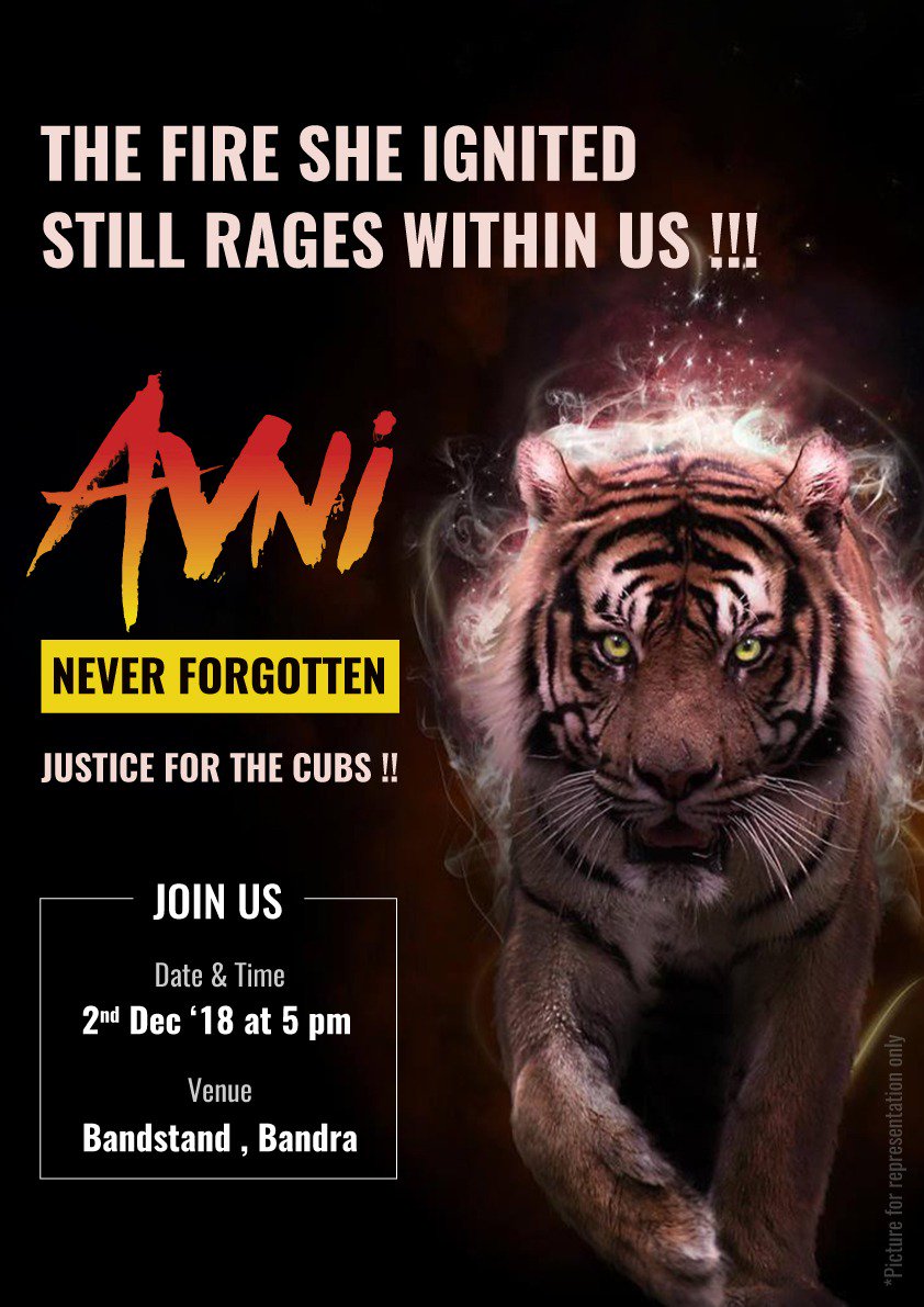 nahual_333's tweet photo. Tomorrow at Bandstand, Bandra.
@j4j3 @MushtaqAnsari80
@shrenikbaxi @AvniJusticefor @Khyatikava @NuzhatKhann
#roarforavni #avniliveson #avnithetigress #savetigers #savewildlife #SackMungantiwar https://t.co/LEDuONnHkI