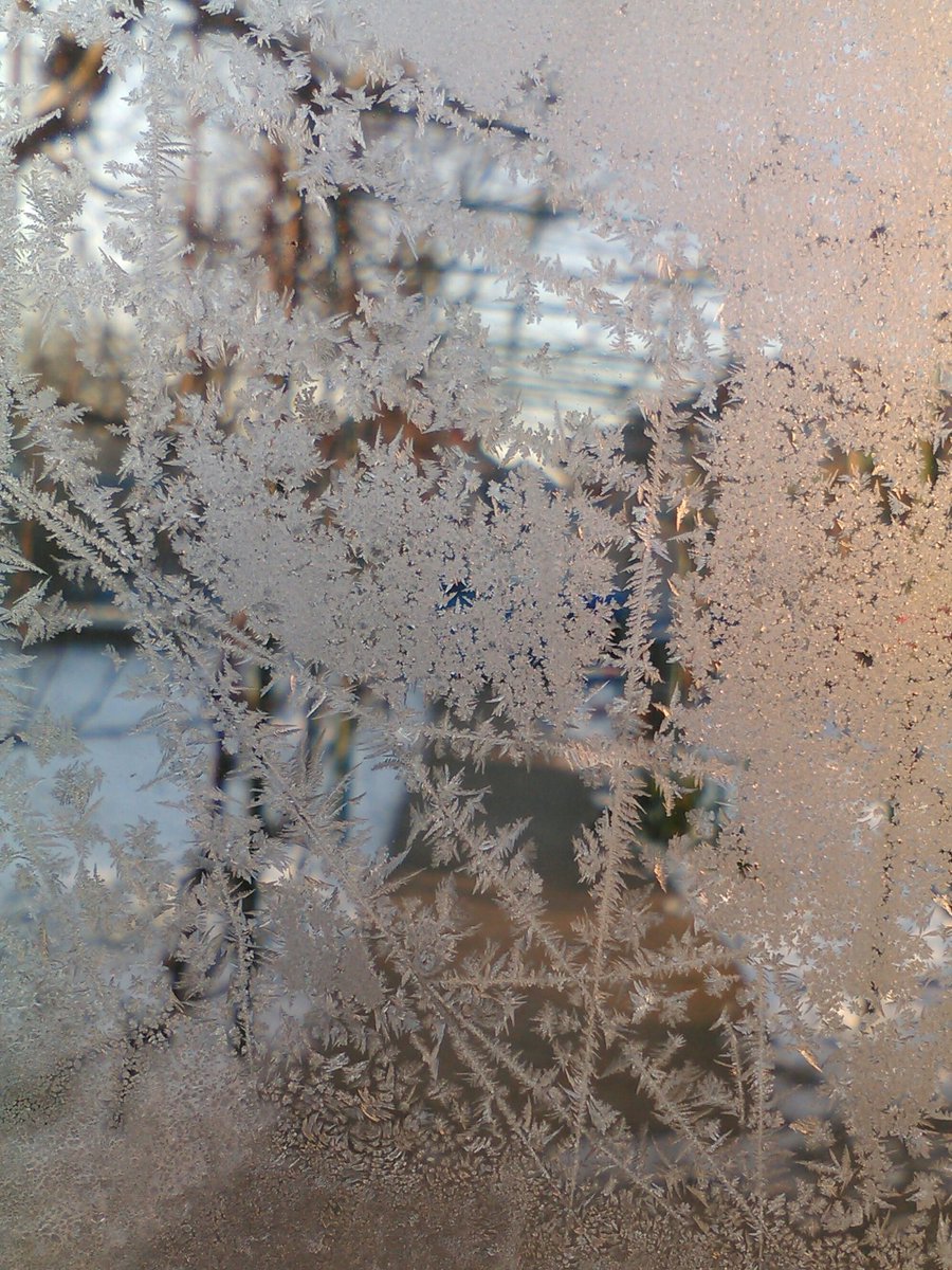 vasy13ionela's tweet photo. #20181201 , #ice , #iceflowers , #frostwork , #window , #jackfrost , #winter #✴ #🕗 #🇲🇩 #🌬️ #❄️ #📷 #📸 https://t.co/UJ6z4LdCuz
