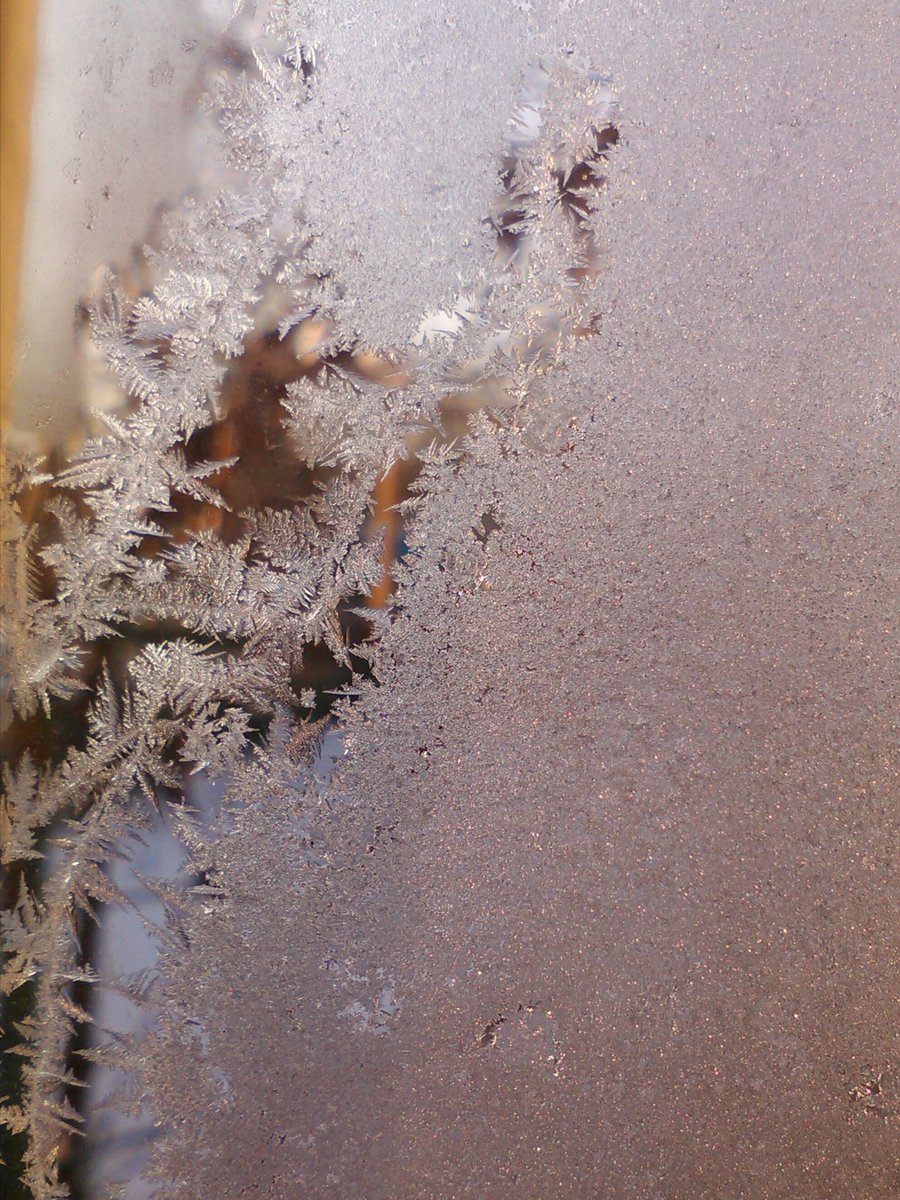 vasy13ionela's tweet photo. #20181201 , #ice , #iceflowers , #frostwork , #window , #jackfrost , #winter #✴ #🕗 #🇲🇩 #🌬️ #❄️ #📷 #📸 https://t.co/UJ6z4LdCuz