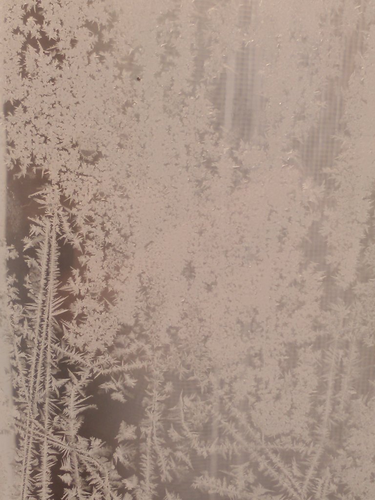 vasy13ionela's tweet photo. #20181201 , #ice , #iceflowers , #frostwork , #window , #jackfrost , #winter #✴ #🕗 #🇲🇩 #🌬️ #❄️ #📷 #📸 https://t.co/IRSYArGWSA