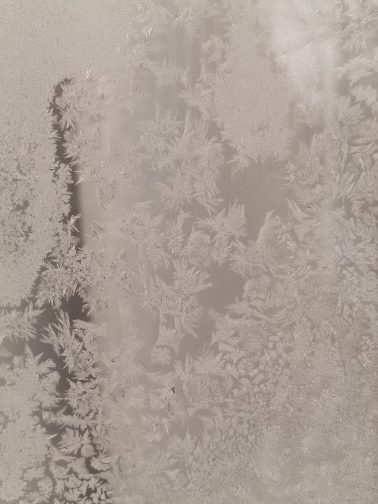 vasy13ionela's tweet photo. #20181201 , #ice , #iceflowers , #frostwork , #window , #jackfrost , #winter #✴ #🕗 #🇲🇩 #🌬️ #❄️ #📷 #📸 https://t.co/IRSYArGWSA