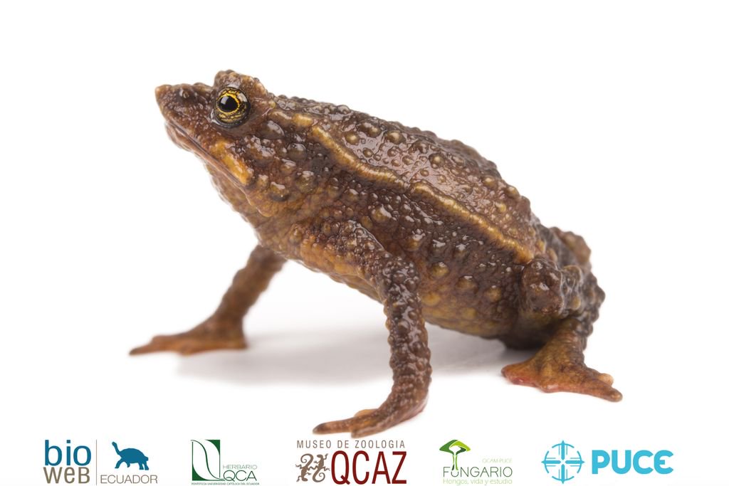 bioweb9 tweet picture