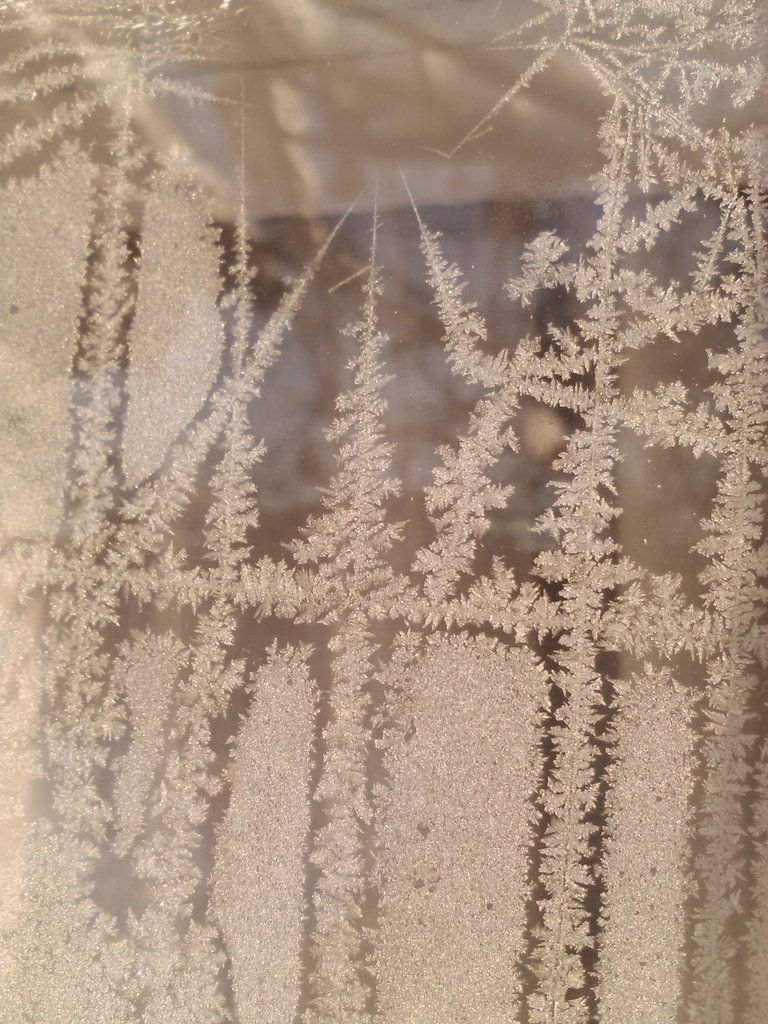 vasy13ionela's tweet photo. #20181201 , #ice , #iceflowers , #frostwork , #window , #jackfrost , #winter #✴ #🕗 #🇲🇩 #🌬️ #❄️ #📷 #📸 https://t.co/j2SdC8Qwbj