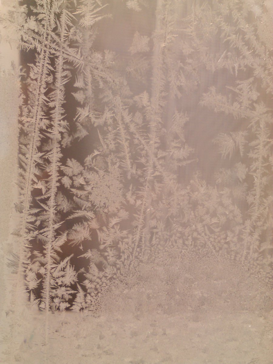 vasy13ionela's tweet photo. #20181201 , #ice , #iceflowers , #frostwork , #window , #jackfrost , #winter #✴ #🕗 #🇲🇩 #🌬️ #❄️ #📷 #📸 https://t.co/j2SdC8Qwbj