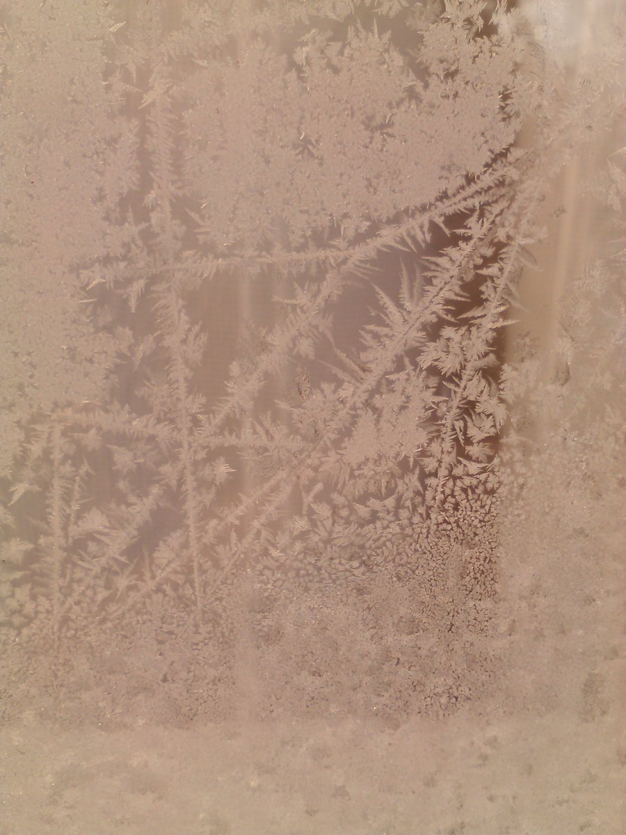 vasy13ionela's tweet photo. #20181201 , #ice , #iceflowers , #frostwork , #window , #jackfrost , #winter #✴ #🕗 #🇲🇩 #🌬️ #❄️ #📷 #📸 https://t.co/j2SdC8Qwbj