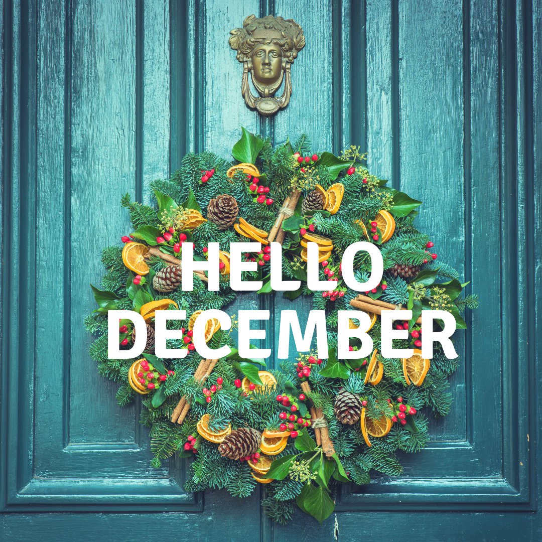 Last month of the year...make it count!      #lancescapesc #ohhhhwhodoestouryard #hellodecember #thesundayofmonths