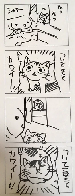 かわいい! 