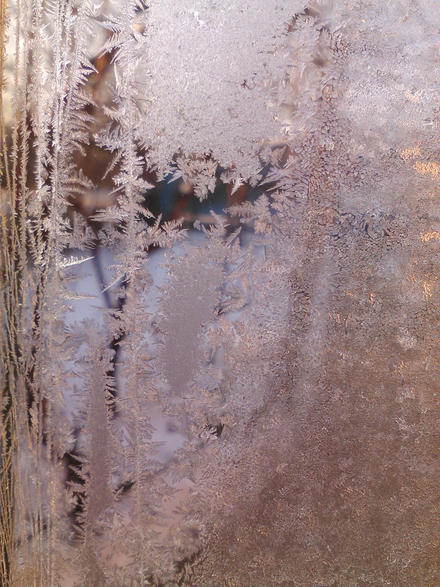 vasy13ionela's tweet photo. #20181201 , #ice , #iceflowers , #frostwork , #window , #jackfrost , #winter #✴ #🕗 #🇲🇩 #🌬️ #❄️ #📷 #📸 https://t.co/XAgWQVZaeZ