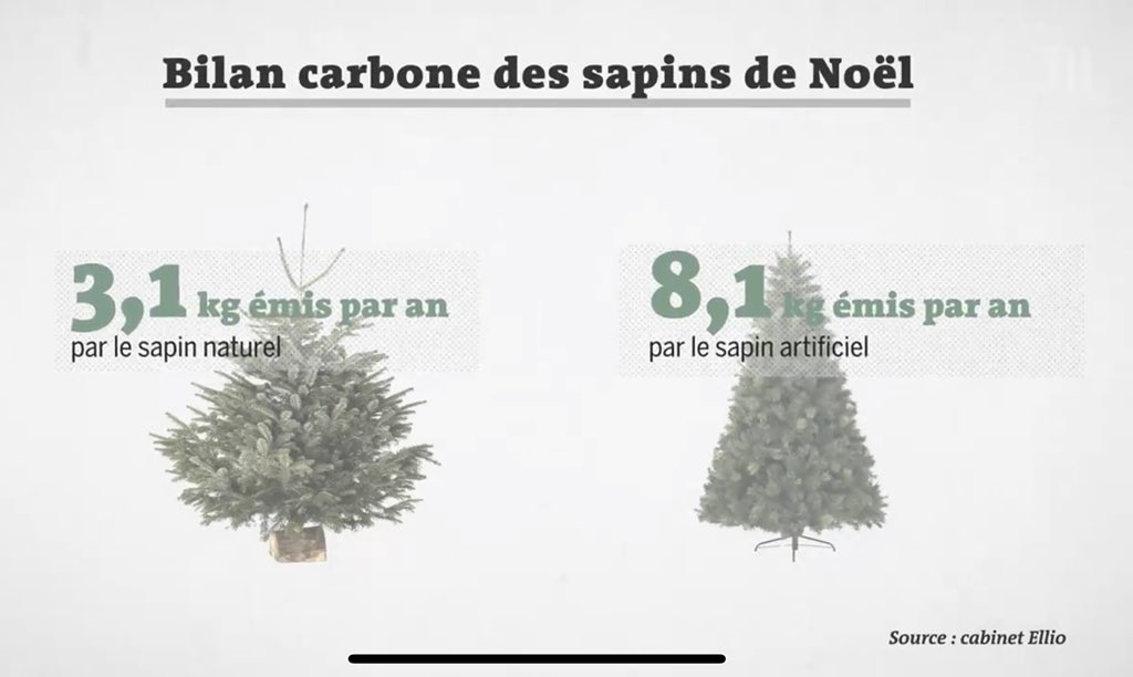 robin_prudent's tweet image. Toujours bon à rappeler quand on vous ressortira : « Moi je prends un sapin en plastique parce que c’est écolo » lemonde.fr/planete/video/…