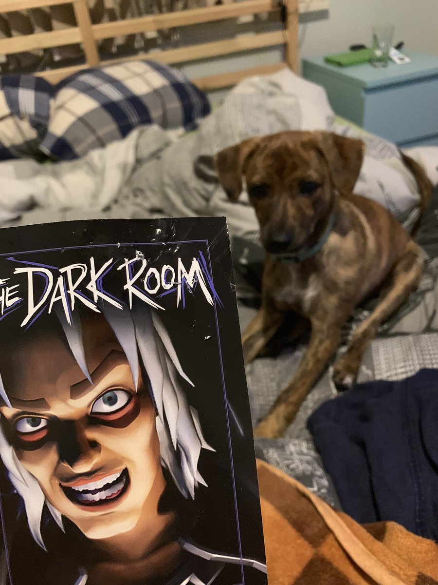 Kaylee 🌈 tweet media