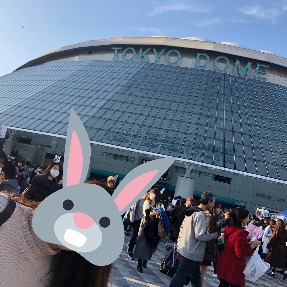 kyabeeeee__23's tweet photo. 4年ぶりのすぱしょ最高でした！サプライズキュヒョンさん見た瞬間涙吹き出したの怖かった😭（笑）
りこぴんありがとう〜うさぎ🐰💙 https://t.co/4QTkLQdhsI