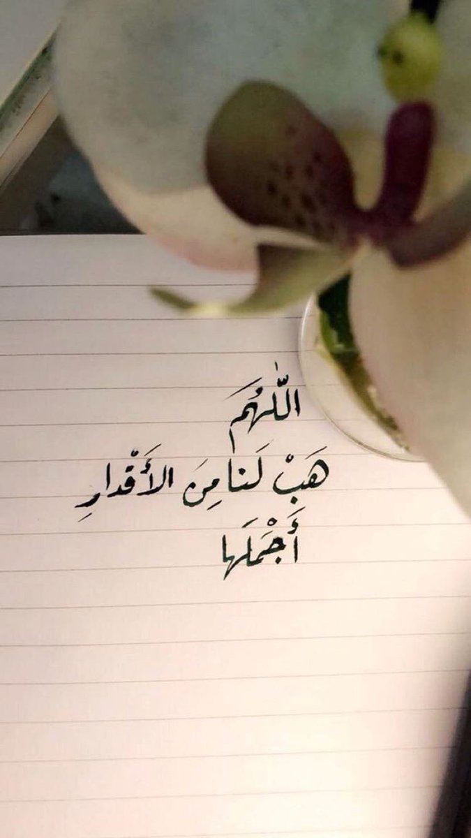 sensitive_823 tweet picture
