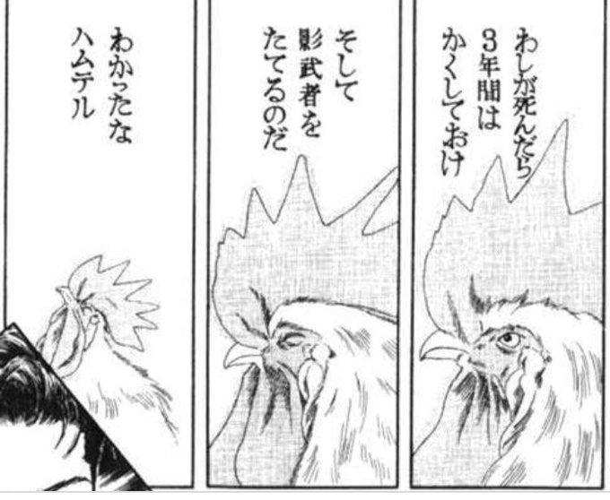 私の動物のお医者さんシンドローム を含むマンガ一覧 ツイコミ 仮
