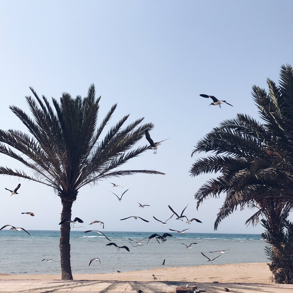 nuuitr's tweet photo. @rri5_5 @xYt3mf99krwJQQs جميله ديرتنا . #تصويري https://t.co/IClBhqGi9A