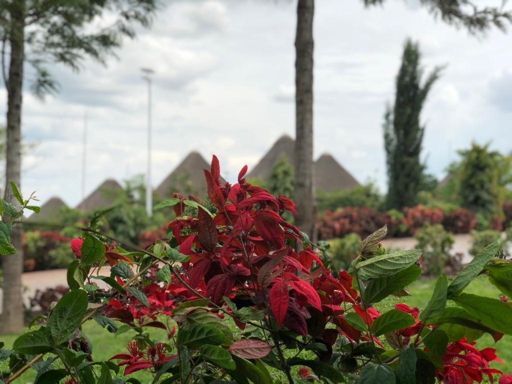 mozesmutungi256's tweet photo. The ambiance at the @emburara is breathtaking, photographers like @bentique3 this is a place that may blow your lenses, anyways #VisitEmburara #UsagaEmburaraVisit
#LifeAtTheFarm
#Tulambule
#Uganda #Nature https://t.co/N5bZTKsJ4q