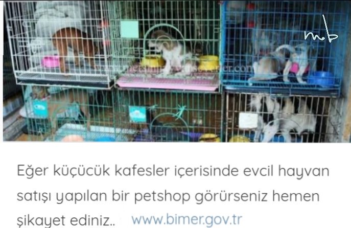 #petshoplardaHayvanSatışınaDurDe