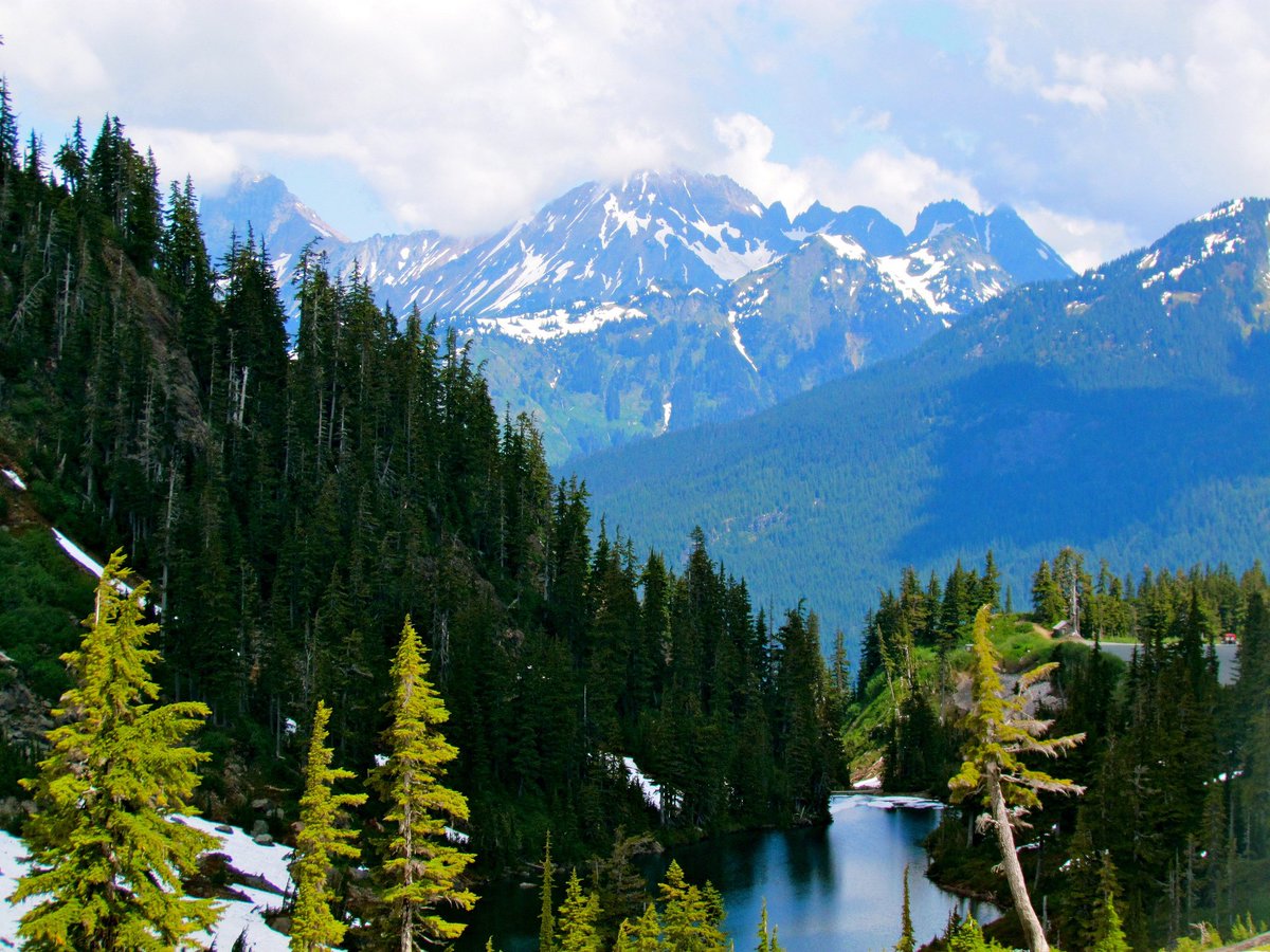 AmericanForests's tweet photo. In honor of our tree planting in #Seattle today, our #RecSpotlight is Mt. Baker-Snoqualmie National Forest in Washington! This beautiful forest has glacier-covered peaks, mountain meadows and old-growth forests that create scenes to admire. 📷: Jeff Gunn @MtBakerSnoNF https://t.co/THy7c5zF7l