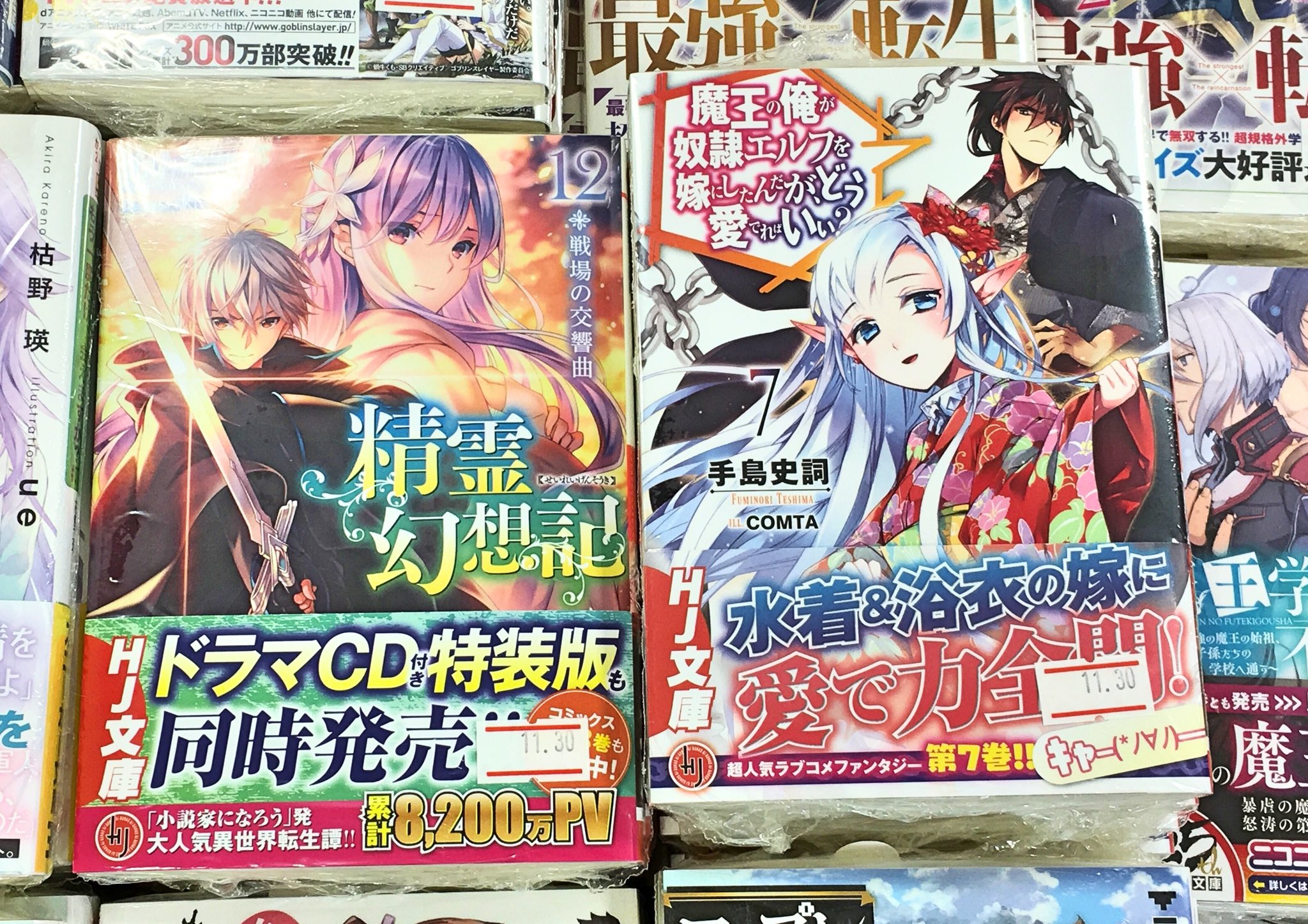ハイパーブックス茨木店 新刊情報 Hj文庫からは バグゲーやったら異世界転移したので 可愛い女の子だけでギルドを作ってみた 2 精霊幻想記 12 俺が勇者じゃ救えない 3 魔王の俺が奴隷エルフを嫁にしたんだがどう愛でればいい 7