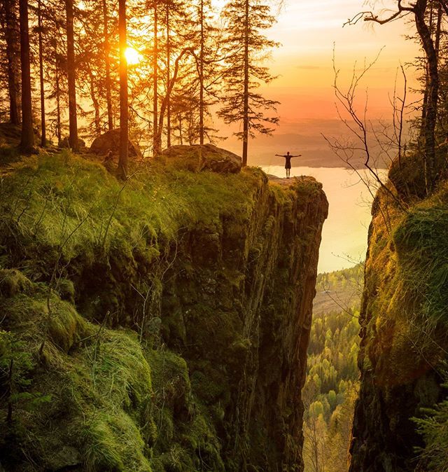 visitnorway's tweet image. Proof that the Oslo region is much more than urban citylife. Only a short trainride away from Oslo, the #Mørkonga reserve in #Ringerike offers beautiful views of the #Tyrifjorden #travelgoals2019 #visitnorway 
Photo by Anders Blesvik Gandrud/Visit Oslo Region