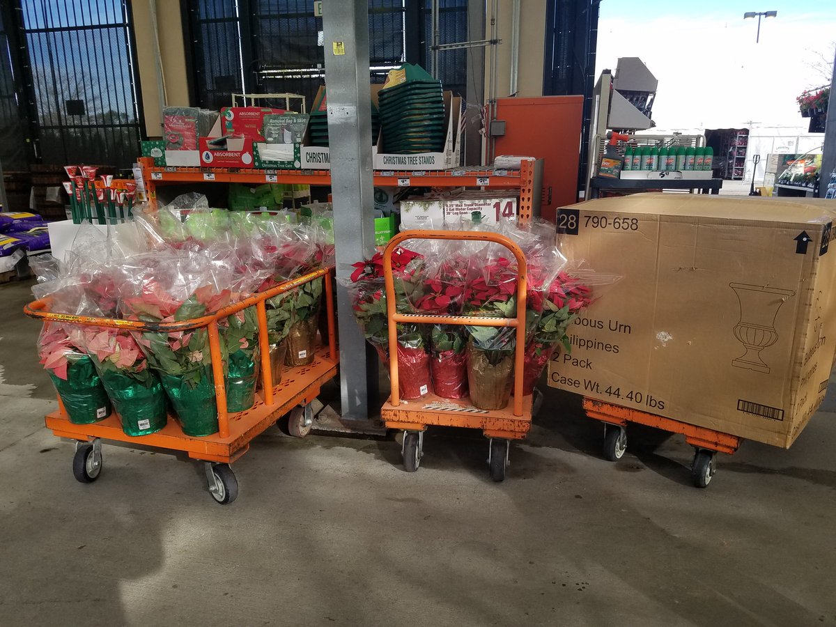 Happy Saturday! Wet day today but still pushing it ! Poinsettias are on the move! #poinsettias #homedepot #hd6369 #gardencaptain #Fall2018 @PBFmedia <a href="/bjryan3/">bj ryan</a> <a href="/billraya/">Bill</a>
