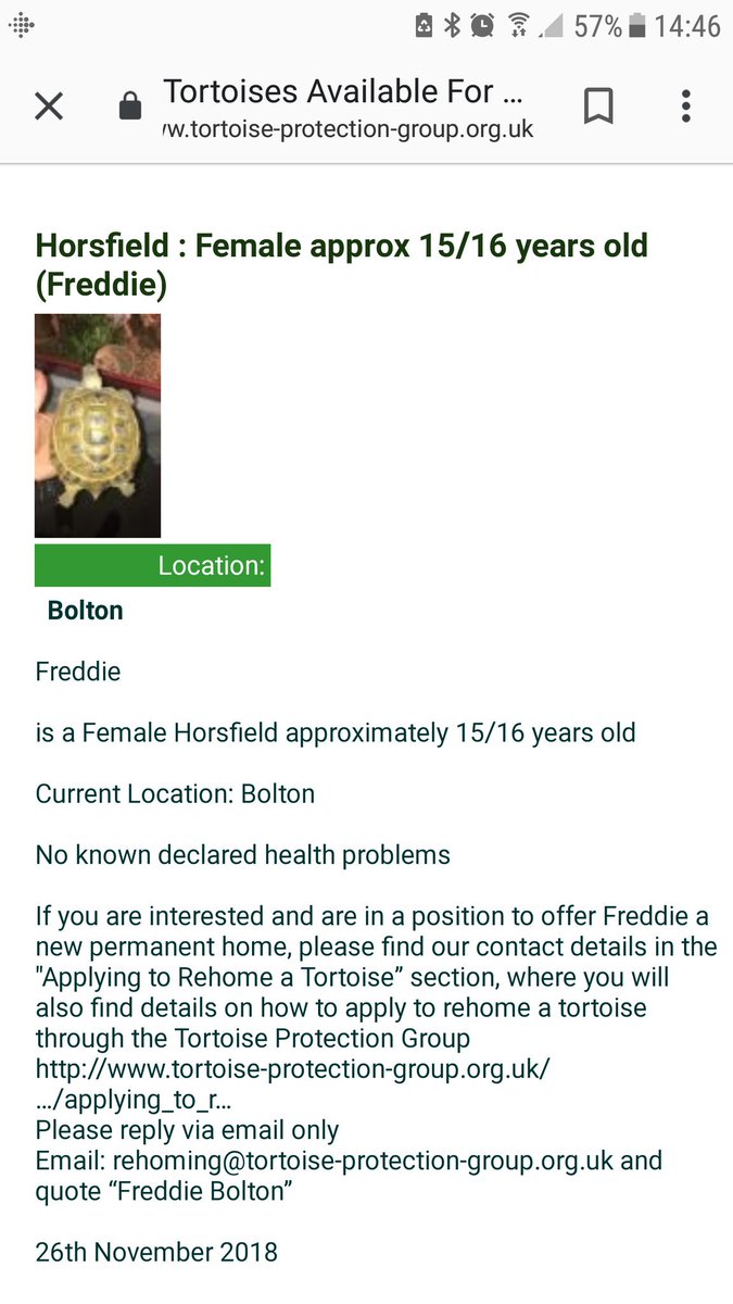 TortProtection's tweet photo. Freddie the #horsfield #tortoise needs a new home #bolton #Lancashire #AdoptDontShop No #rehoming fees https://t.co/2ee59p3CLi