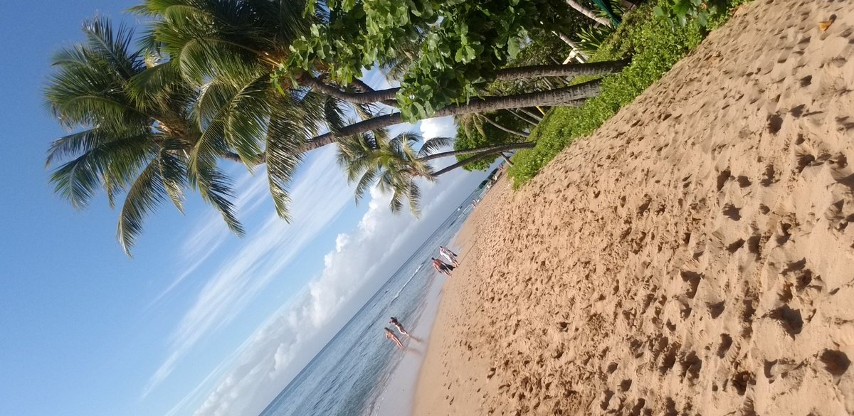 #maui #wowie #noplacelikeit #Hawaii ♡♡♡♡♡♡♡♡♡♡