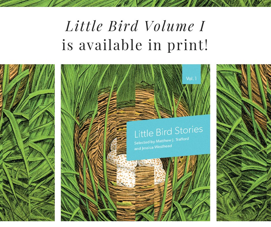 SarahSeleckyWS's tweet photo. It’s finally here! Little Bird Volume 1 is available in print today from @invisbooks! 🐦 These three stories were selected by dynamic duo @jessicawesthead and @mjtrafford. Get your copy now and find out more about #littlebirdstories: https://t.co/uabzy5kekw #littlebirdcontest https://t.co/YJWtpn4JhT