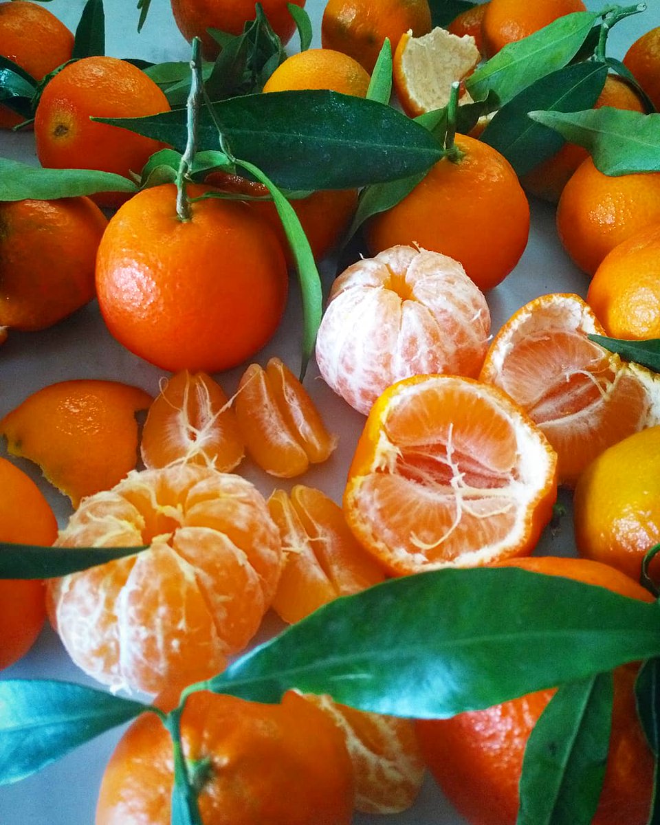OurEdibleItaly's tweet photo. After a leisurely stroll in the garden, with our baskets brimming &amp; pockets full - a cold, dreary #autumn morning at home has now brightened up deliciously #lifeincampania #homegrown #fruits #ourgarden - #localife - #campania #italy #ouredibleitaly https://t.co/CDOYec2RIC