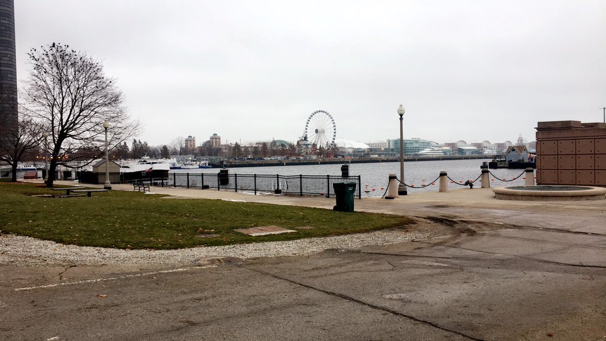 NicholeMLicht tweet media