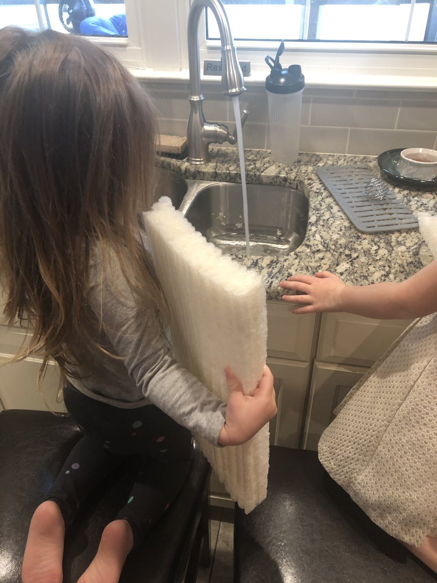 lmaciolek's tweet photo. Showing the girls the joys of sustainable packaging, thanks @snakeriverfarms https://t.co/DqbYhQGpws