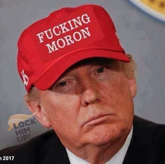 monkeymovie's tweet image. 