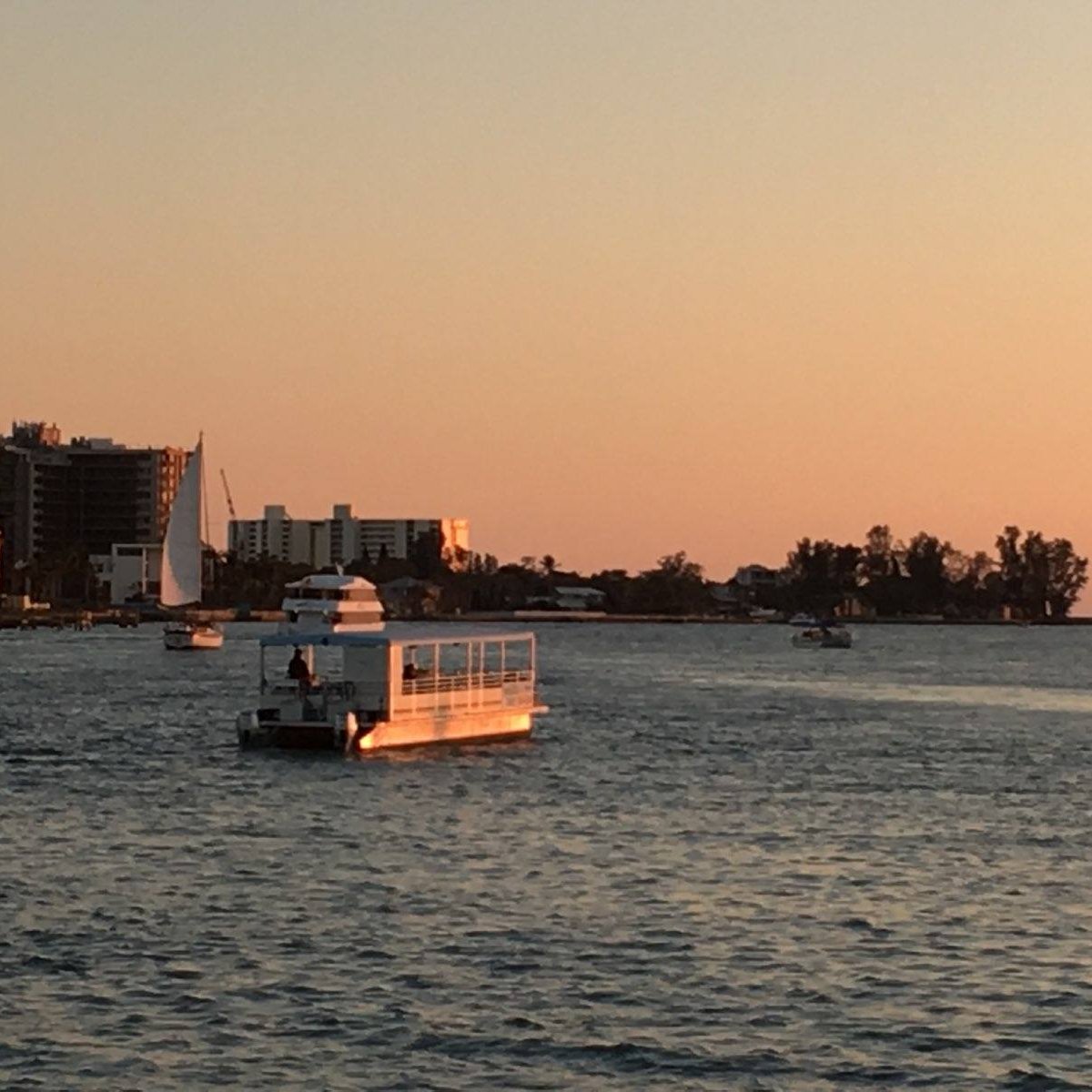 Enjoy a sunset cruise with us -- there's even a chance we'll see some of our resident dolphins and manatees during the trip!