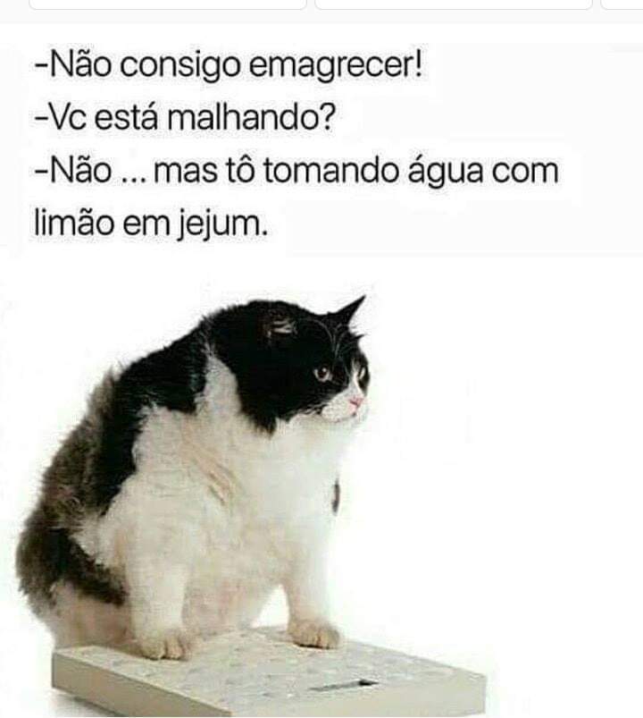 Ju tim beta (@julianacenedese) on Twitter photo 