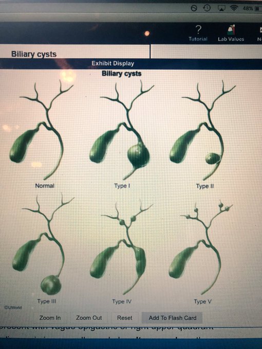 looks like a mf habanero pepper to me dawg https://t.co/Ma9yHZoZ2S