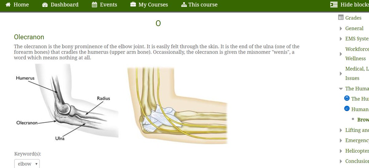 Olecranon Anatomy Definition - Human Body Anatomy