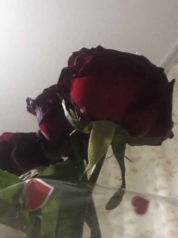 Ты просто зайка🌹😘❤️