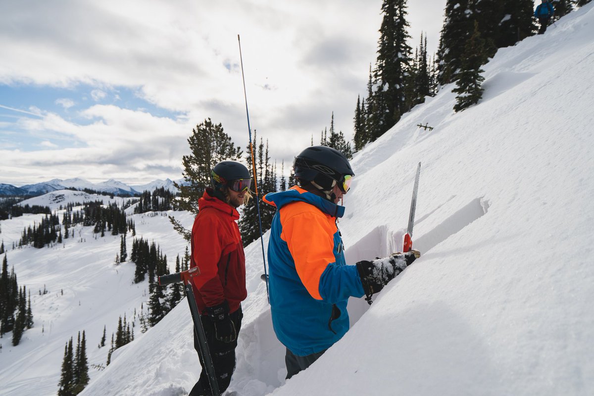 SelkirkSnowcatSkiing tweet media